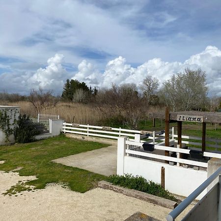 Les Maisons Du Paty Arles Esterno foto