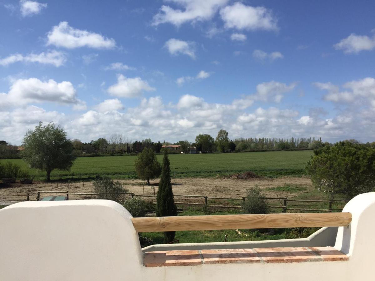 Les Maisons Du Paty Arles Esterno foto