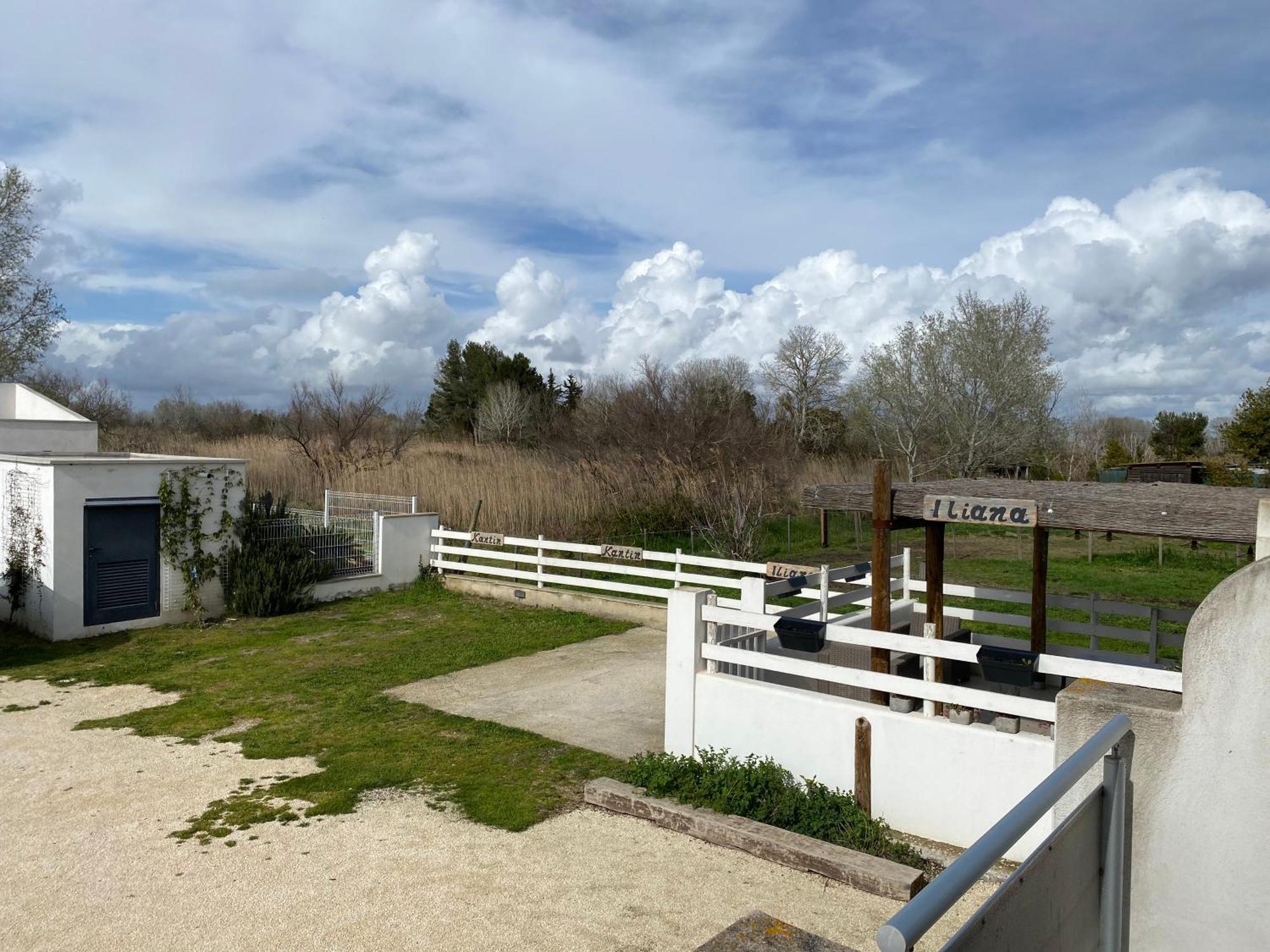 Les Maisons Du Paty Arles Esterno foto